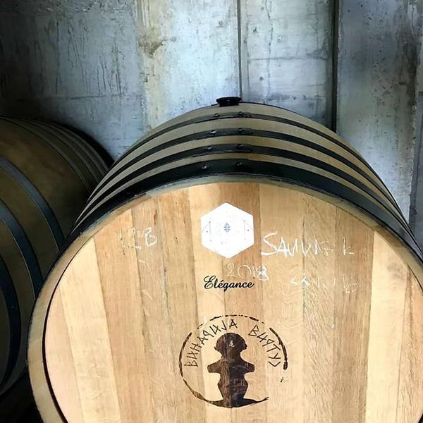 Seguin Moreau burad u podrumu vinarije Virtus
