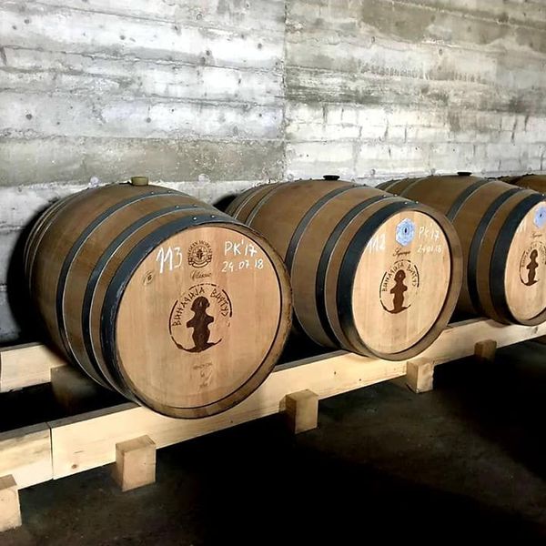 Niz buradi u vinariji Virtus