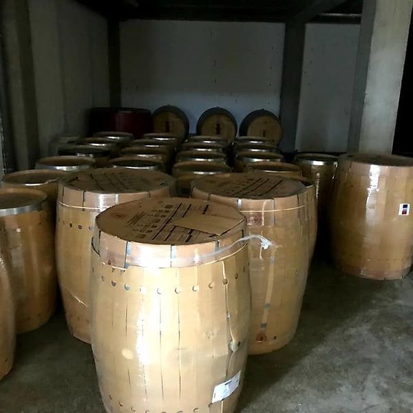 Barrique burad u podrumu vinarije Virtus